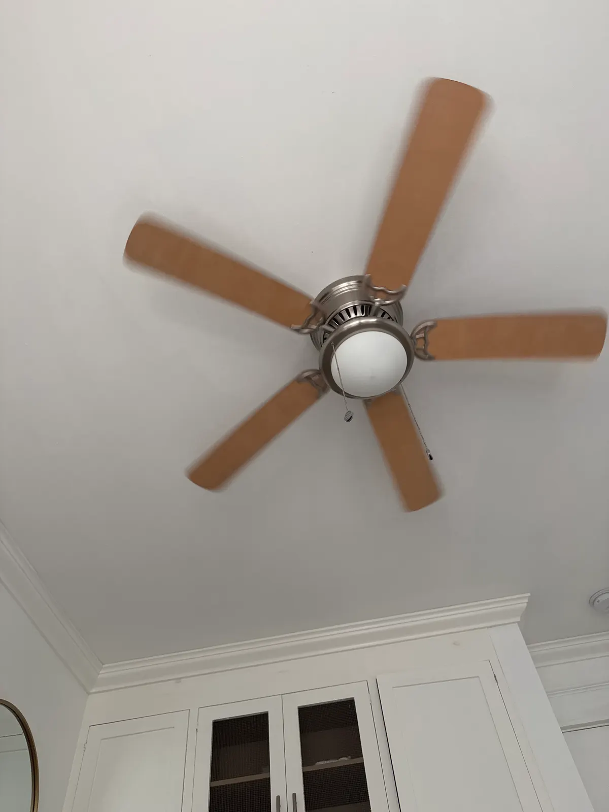 Ceiling Fan with Light