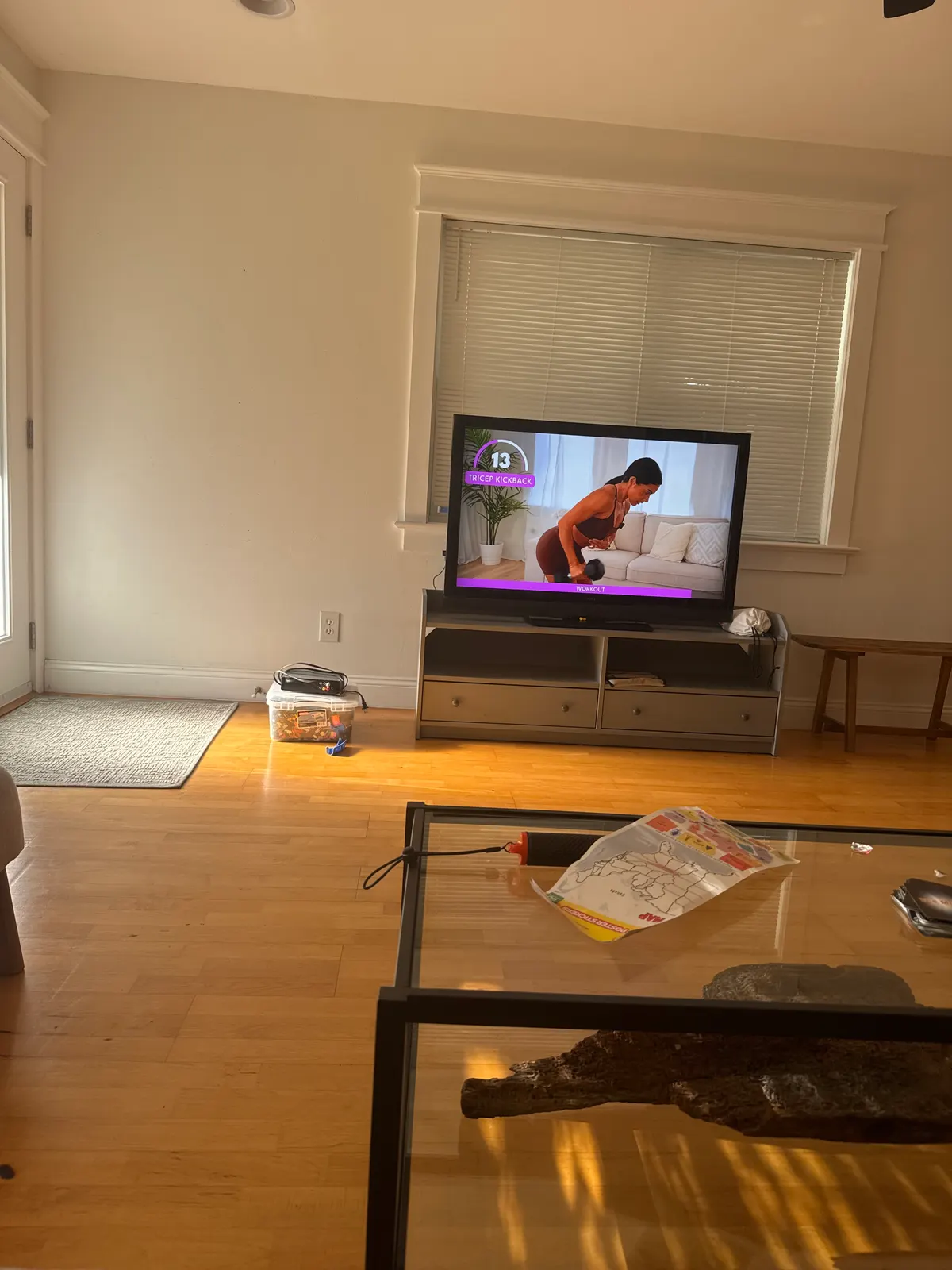 TV with stand