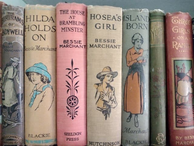 Lot of vintage Bessie Marchant girls' adventure books