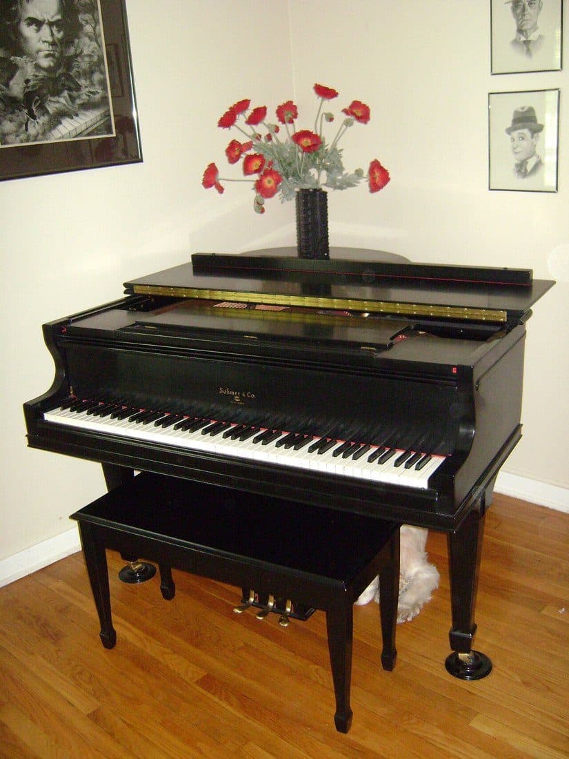 Sohmer & Co. baby grand piano with matching bench - photo 2
