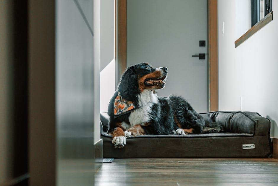 Orthopedic Dog Bed, Large - photo 2