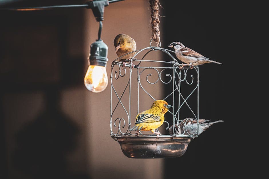 Large Bird Cage on Rolling Stand - photo 2