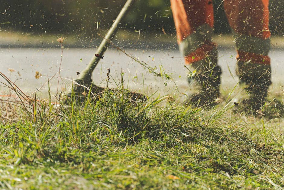 Lawn Mowing and Yard Cleanup - photo 2
