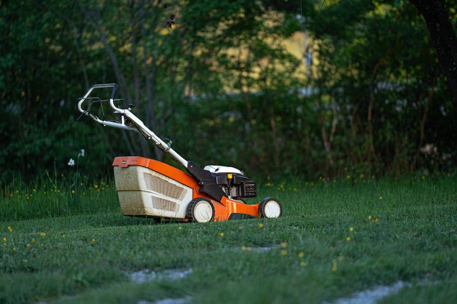 Hedge & Bush Trimming