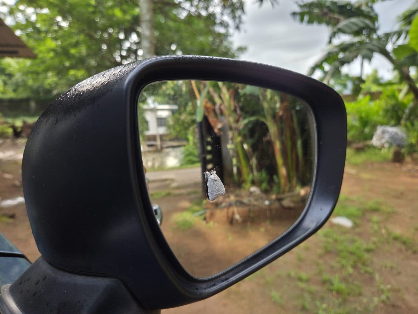 Side mirror, driver side