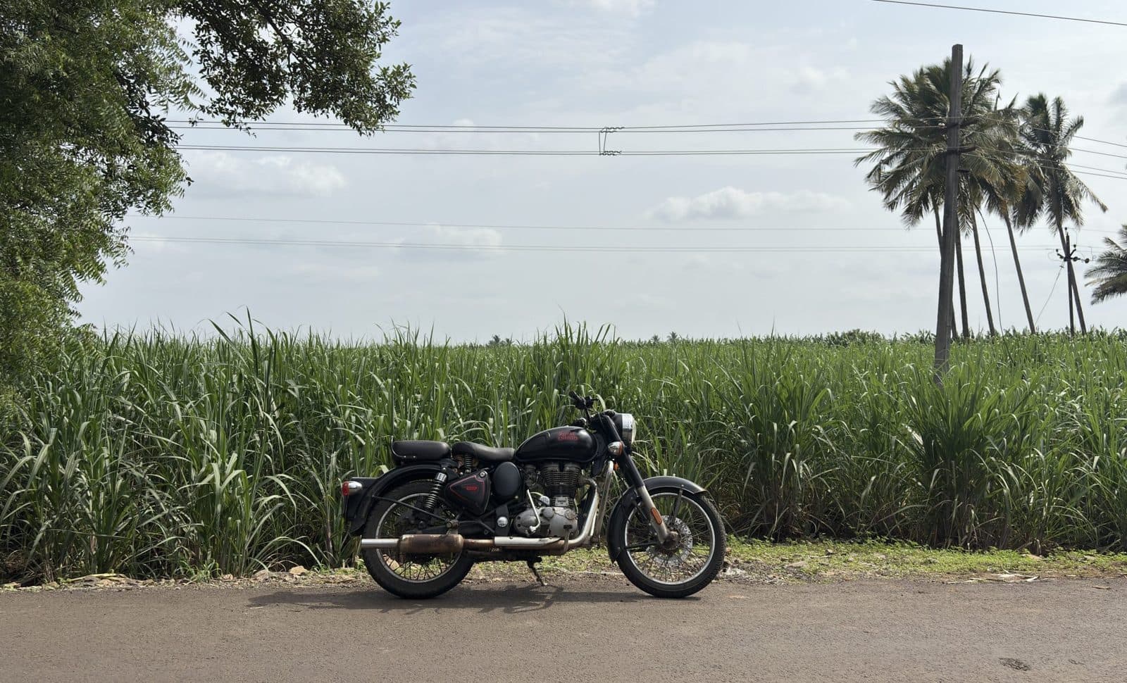 Honda Rebel 500